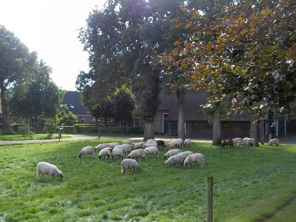 B&B Slaoperij Orvelte Exterior photo